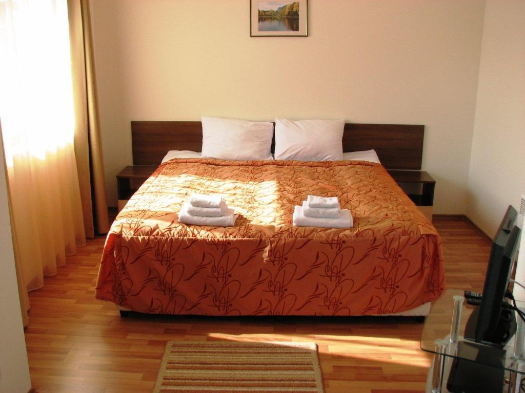 Aquilon Hotel & Thermal Pools サパレヴァ・バニャ 部屋 写真